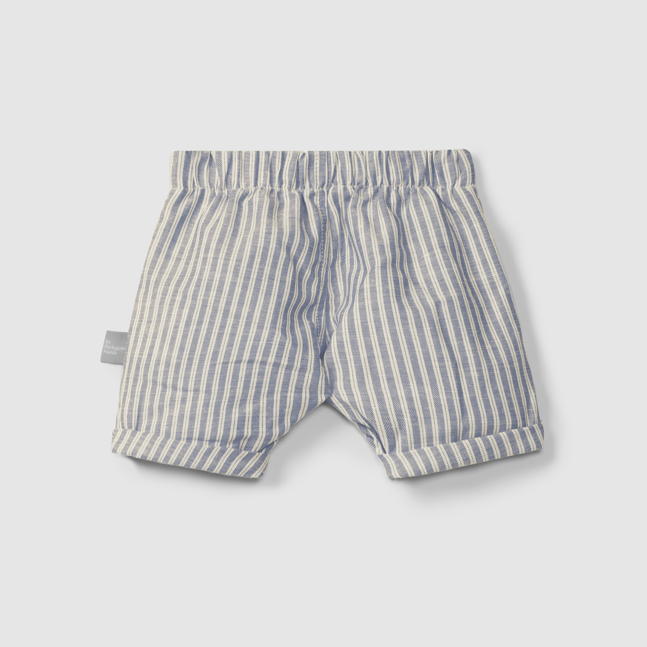 Indigo Stripe Shorts