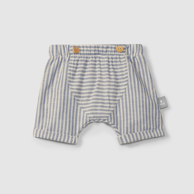 Indigo Stripe Shorts
