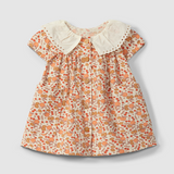 Citrus Print Collar Dress