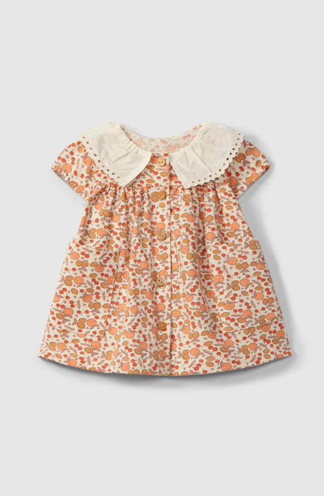 Citrus Print Collar Dress