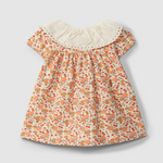 Citrus Print Collar Dress