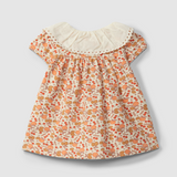 Citrus Print Collar Dress