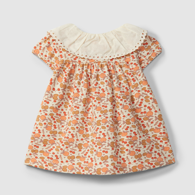 Citrus Print Collar Dress
