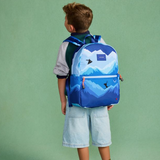 Kane Backpack (Mountains)