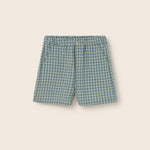 Gingham Cotton Bermuda Shorts (Blue)
