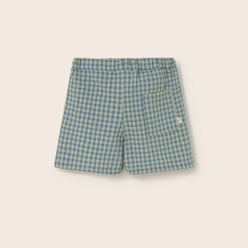 Gingham Cotton Bermuda Shorts (Blue)