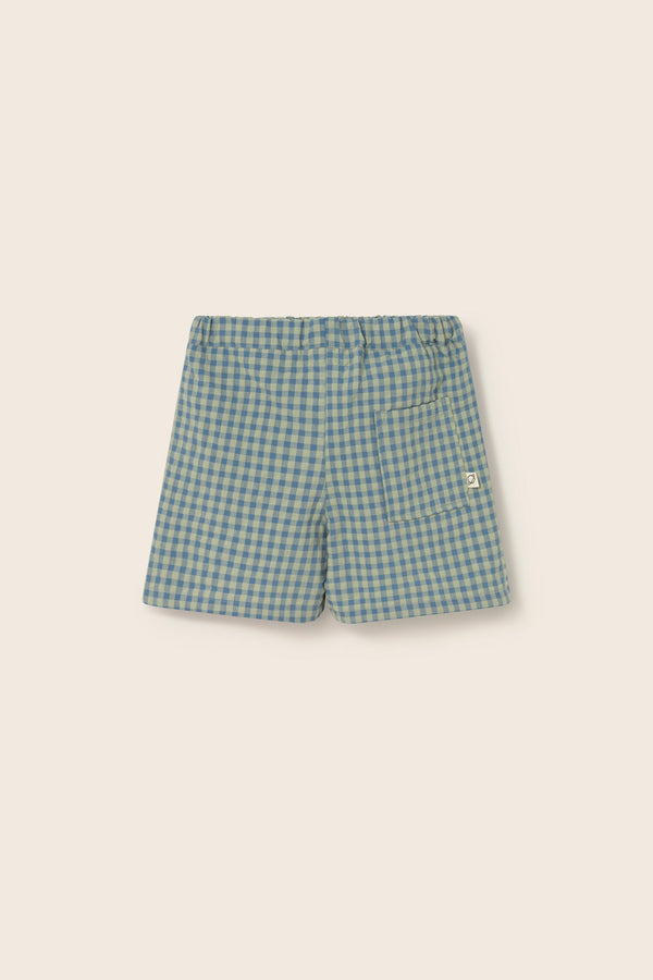 Gingham Cotton Bermuda Shorts (Blue)