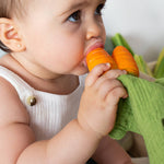Mini DouDou Teether (Cathy the Carrot)