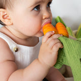 Mini DouDou Teether (Cathy the Carrot)