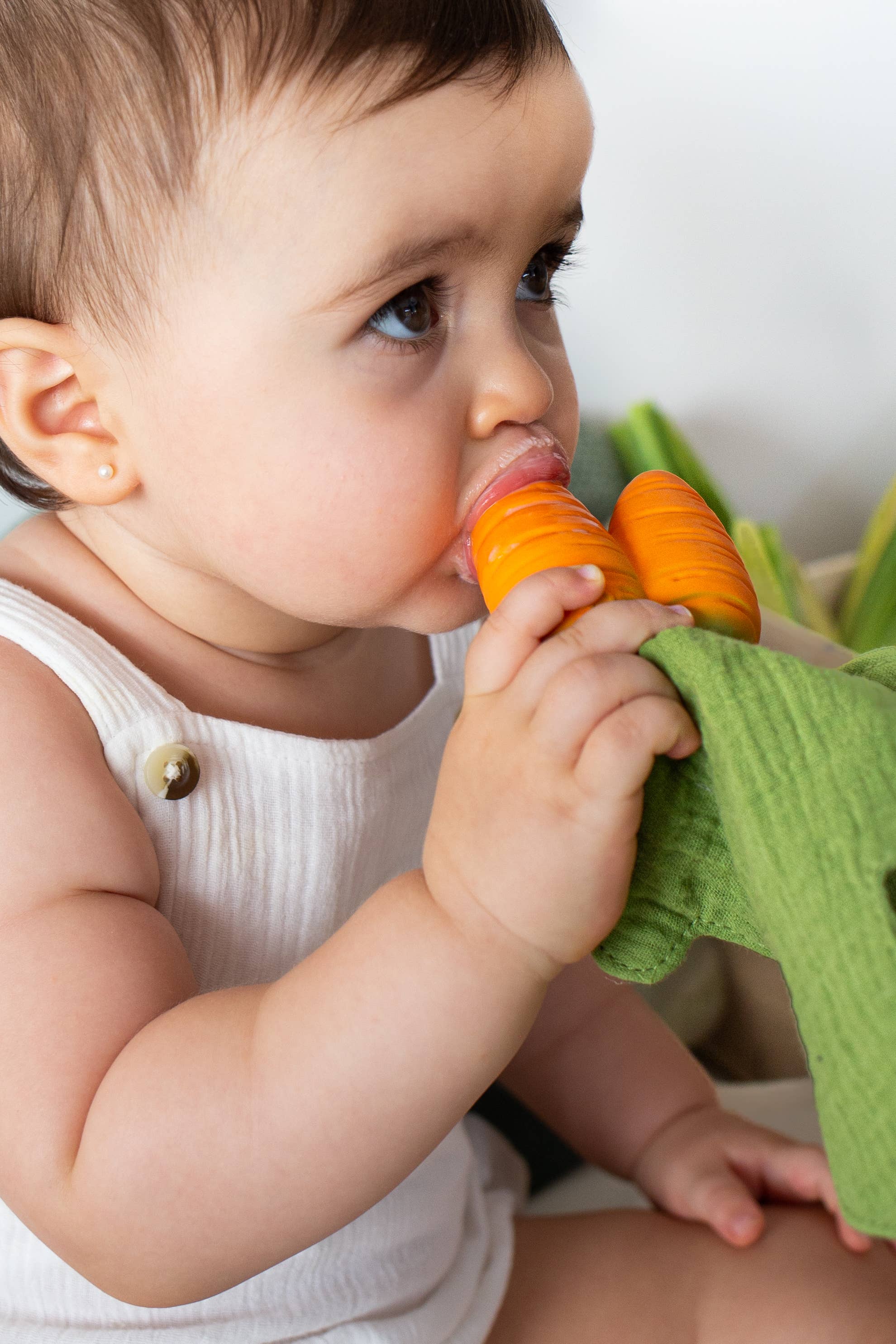 Mini DouDou Teether (Cathy the Carrot)