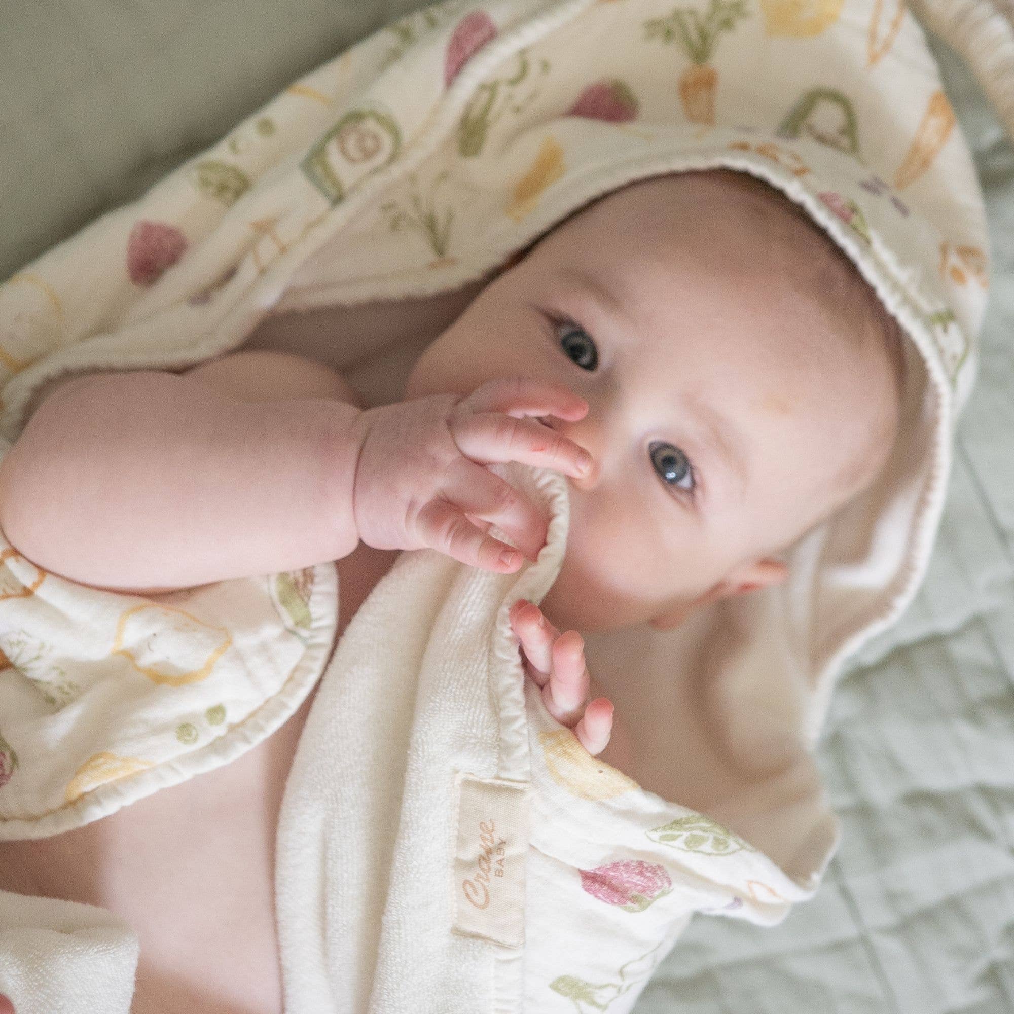 Hooded Baby Bath Towel & Washcloth Set (Clementine Fruits & Veggies)
