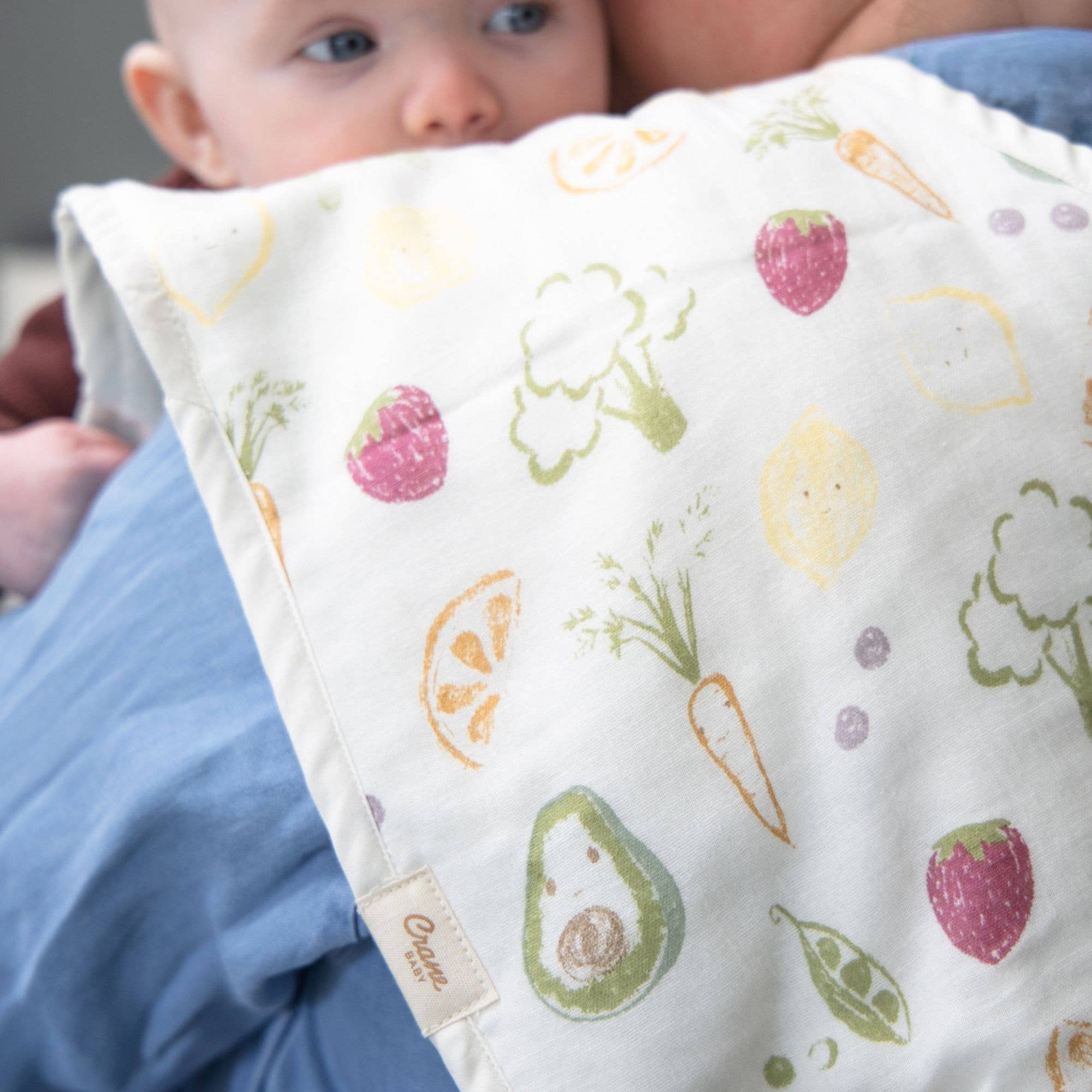 Burp Cloth Set (Clementine Fruits & Veggies)