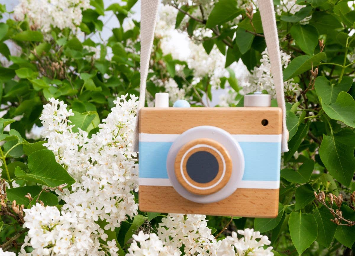 Vintage Camera Music Box (Blue)