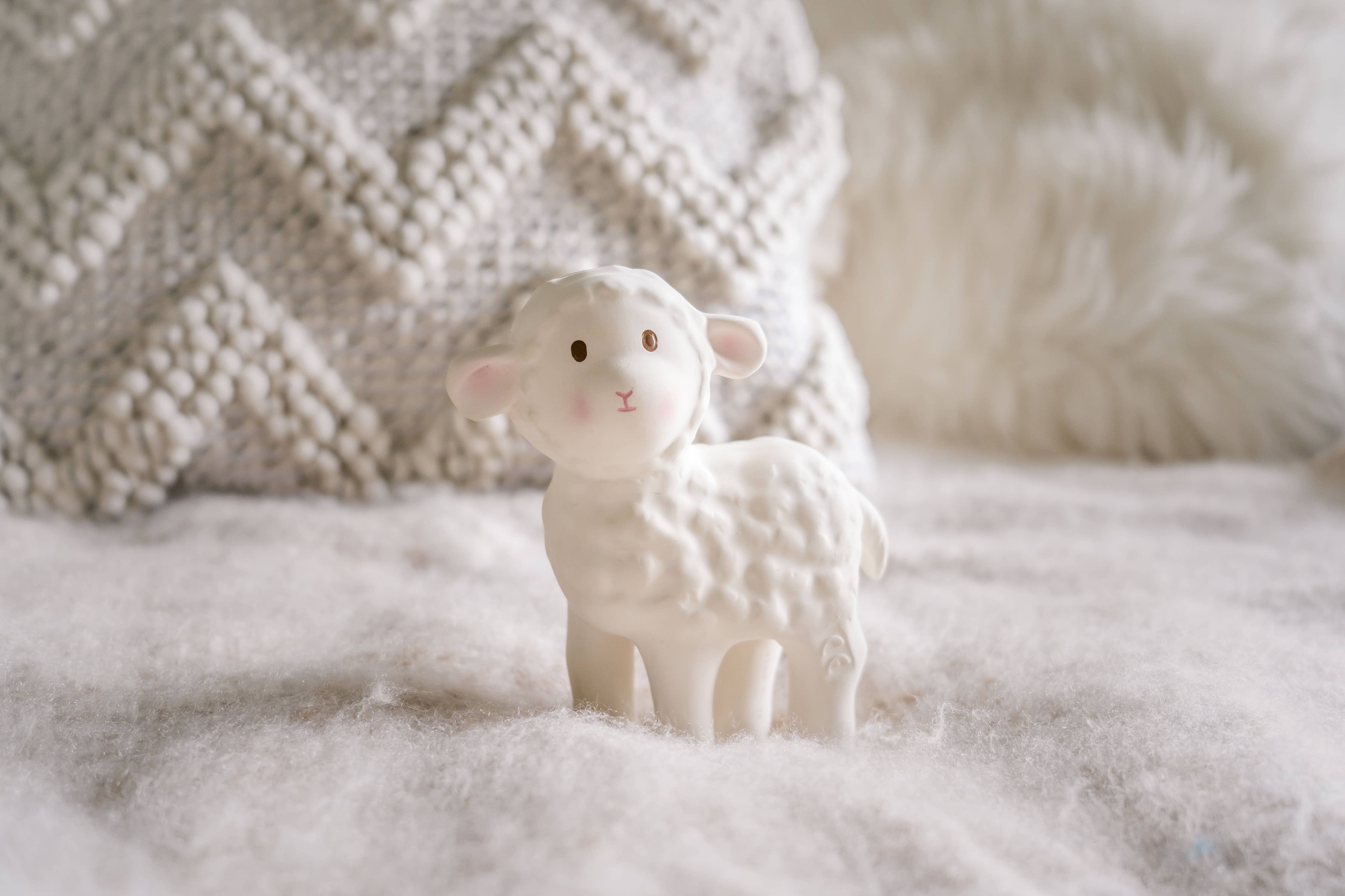 Teether Rattle & Bath Toy (Bahbah the Lamb)