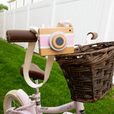 Vintage Camera Music Box (Pink)