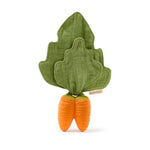 Mini DouDou Teether (Cathy the Carrot)