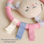 Teething Ring with Plush Character (Pink Kitty)