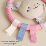 Teething Ring with Plush Character (Pink Kitty)