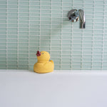 Bath Toy (Tara the Duck)