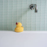 Bath Toy (Tara the Duck)