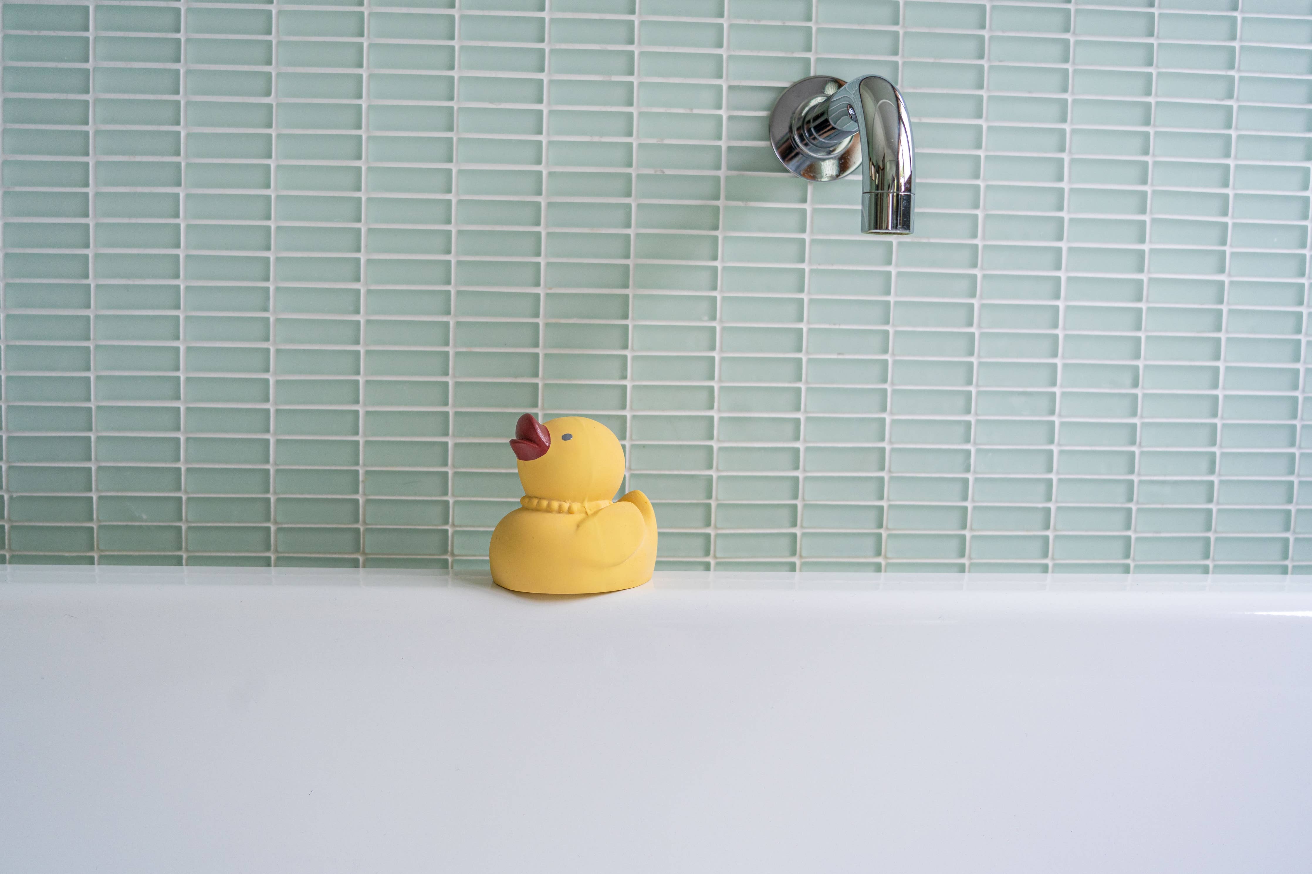 Bath Toy (Tara the Duck)