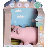 Teether Rattle (Pig)