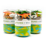 Grab & Go Dough Jar (Dinosaur)