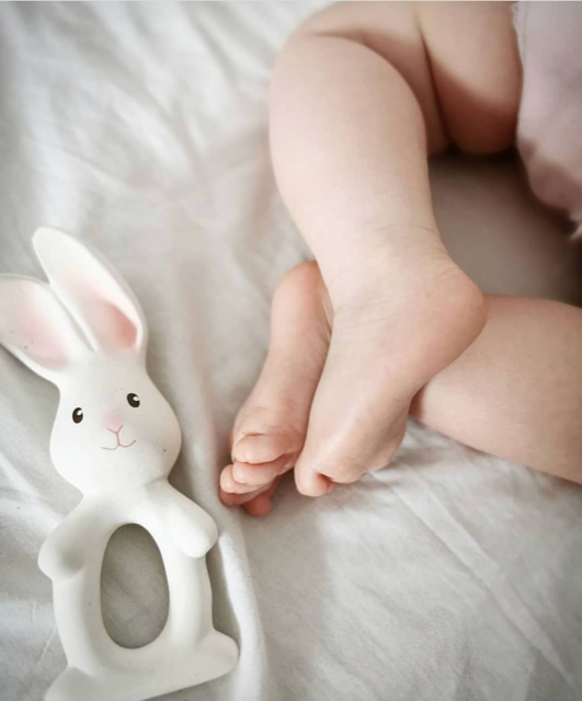 Teether (Havah the Bunny)