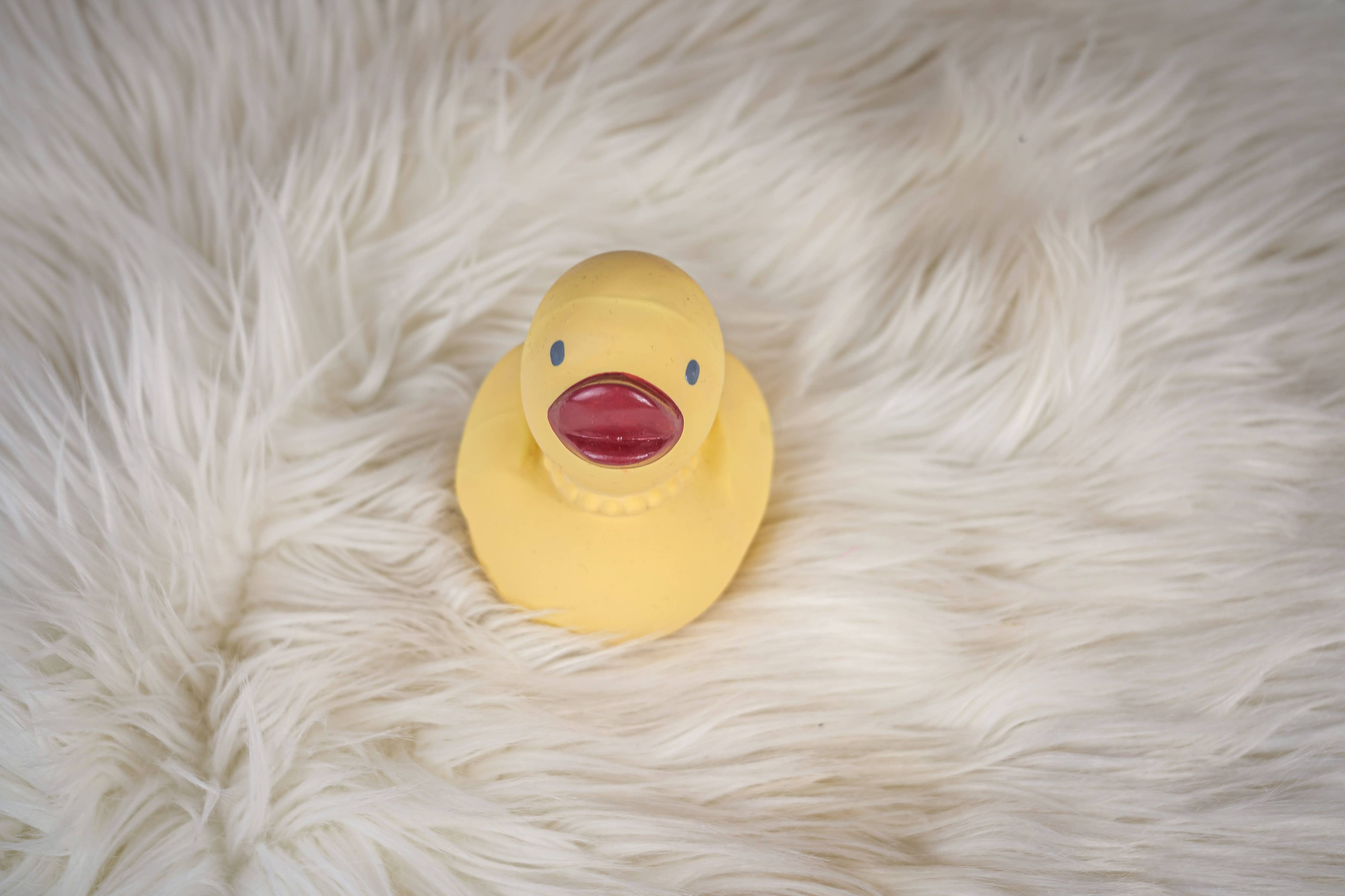 Bath Toy (Tara the Duck)