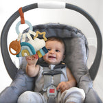 Teething Activity Toy (Rainbow)