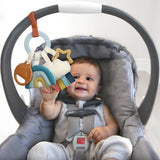 Teething Activity Toy (Rainbow)