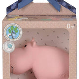 Teether Rattle & Bath Toy (Hippo)