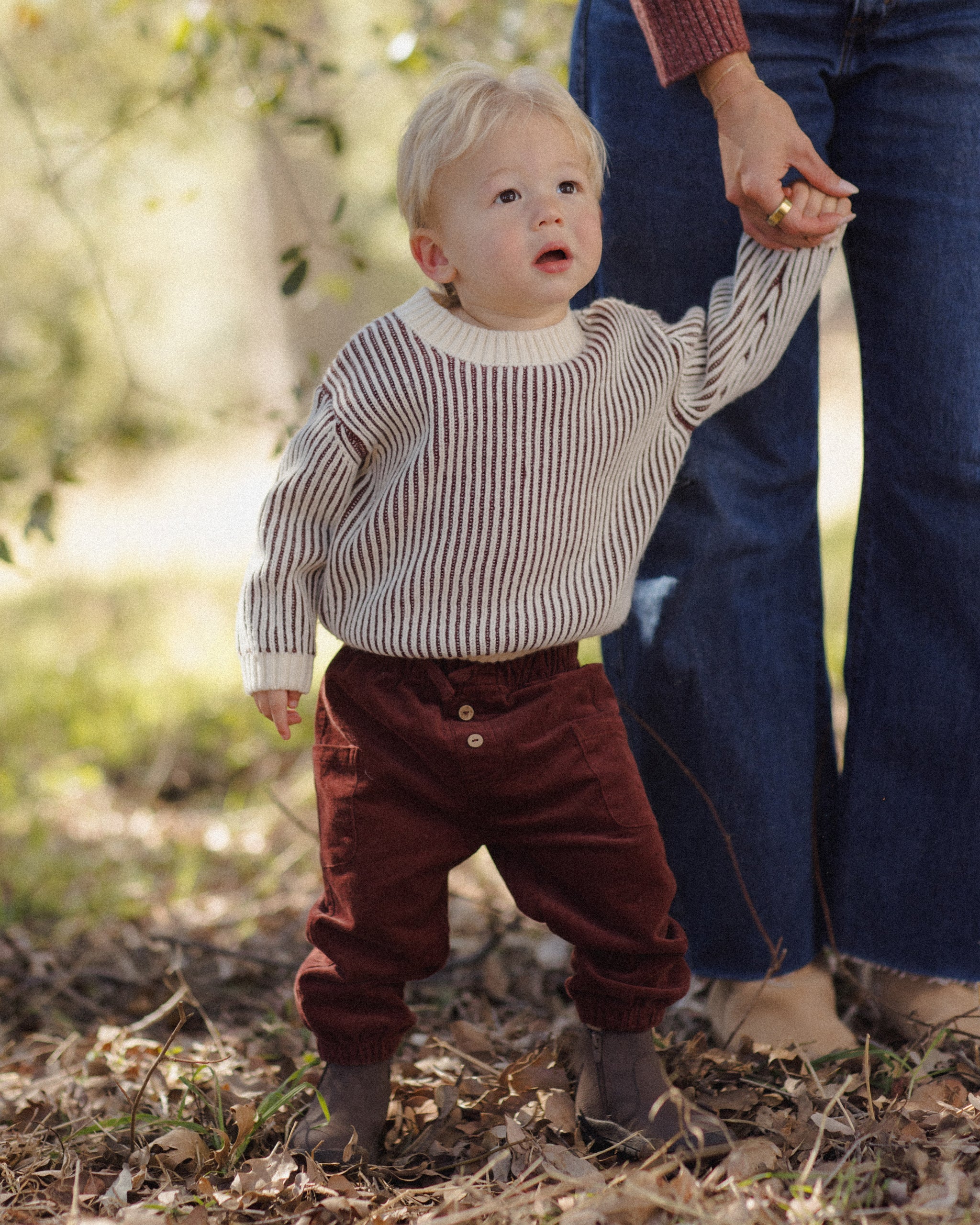 Relaxed Knit Sweater (Black Cherry Stripe)