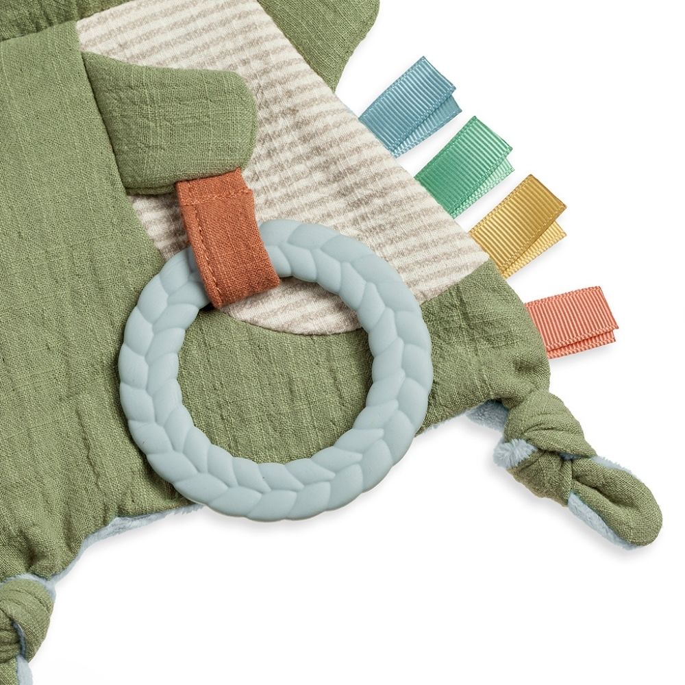 Crinkle Teether (Dino)