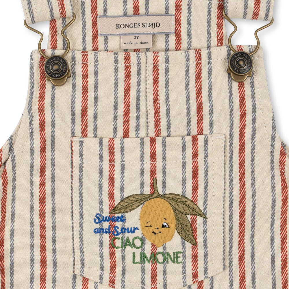 Frankie Overall (Stripe Winds)
