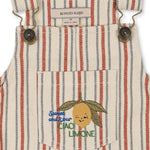 Frankie Overall (Stripe Winds)