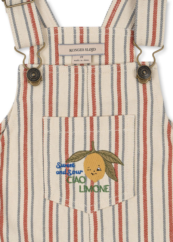 Frankie Overall (Stripe Winds)