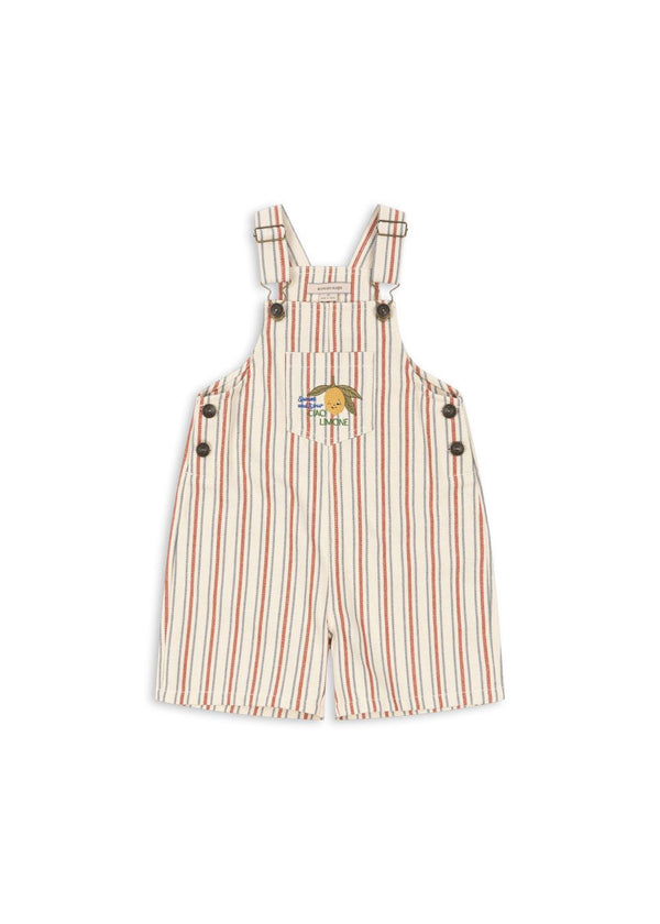 Frankie Overall (Stripe Winds)