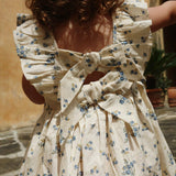 Cianna Dress (Tramonto)