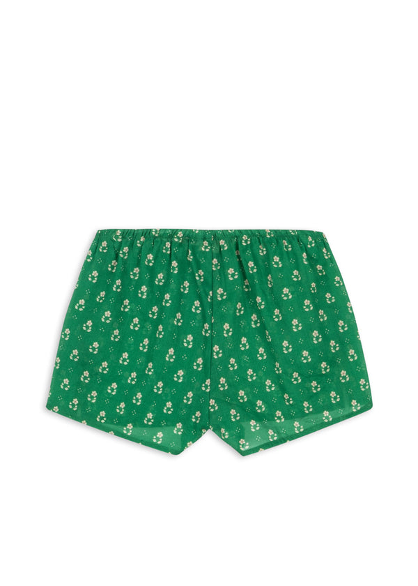 Cami Shorts (Vidaverde)
