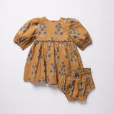 Baby Girls Brooke Dress Set (Harvest Dewdrop)