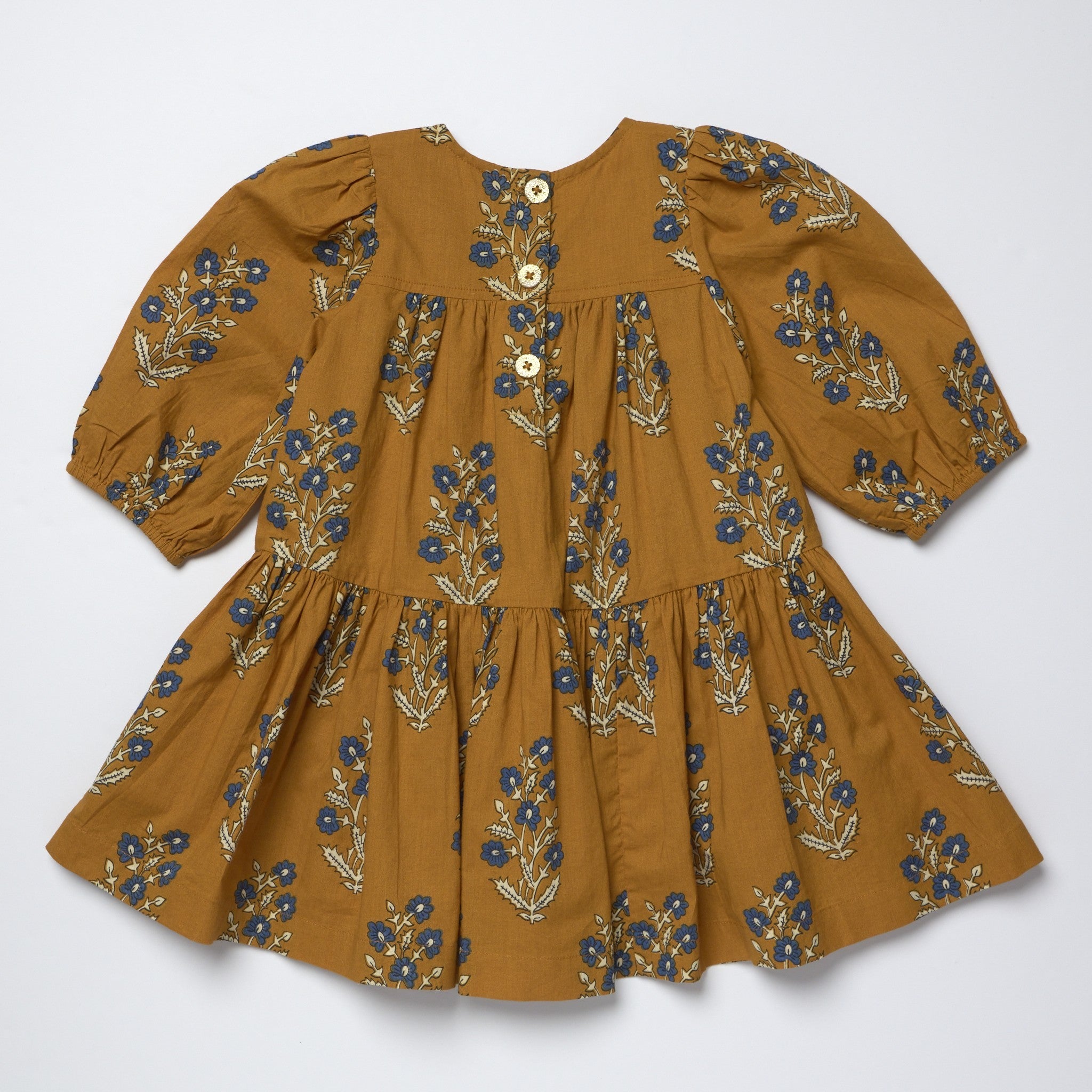 Girls Fiona Dress (Harvest Dewdrop)
