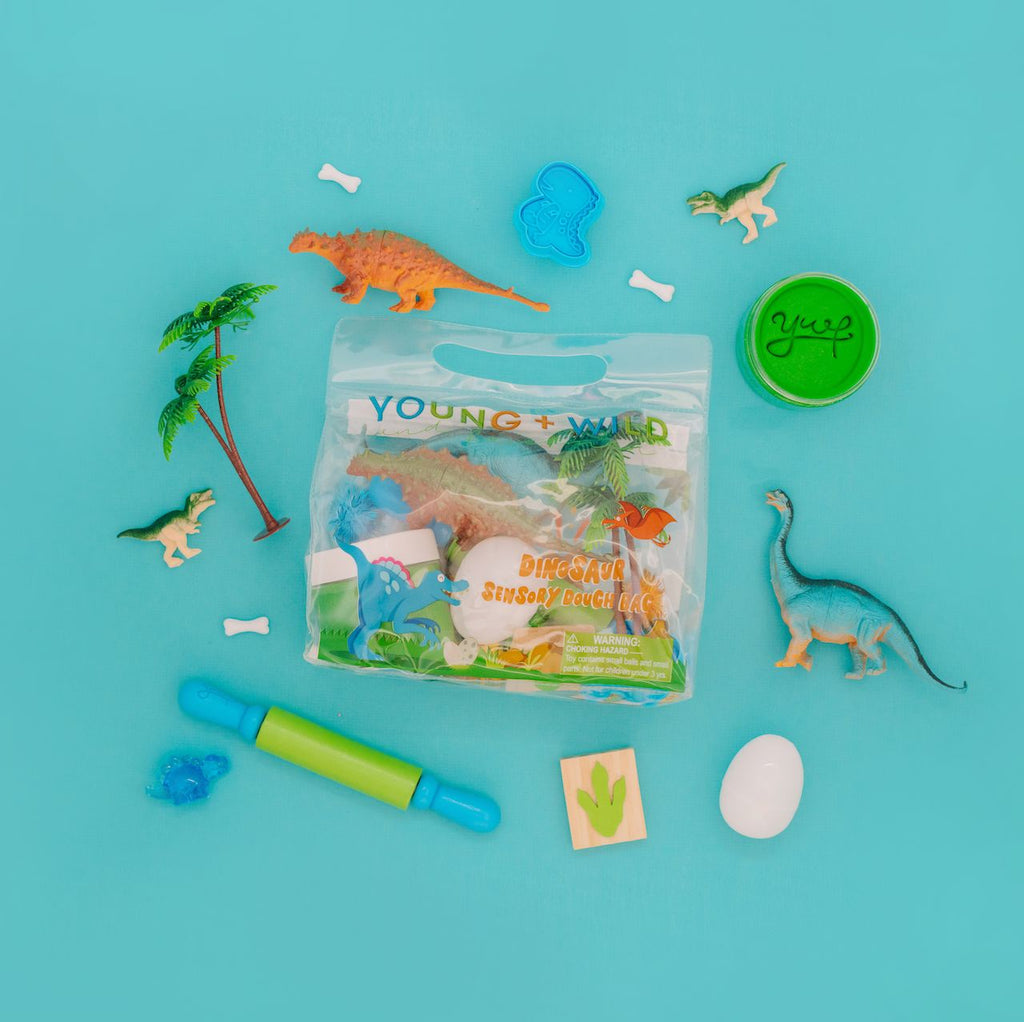 Sensory Dough Bag (Dinosaur)