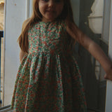Ponza Dress (Carlie Verde)