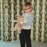 Teddy Dragon