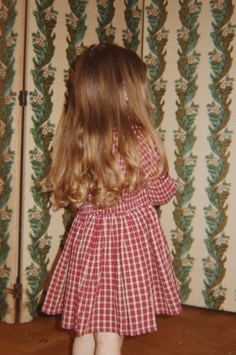 Elin Smock Dress (Brick Check)