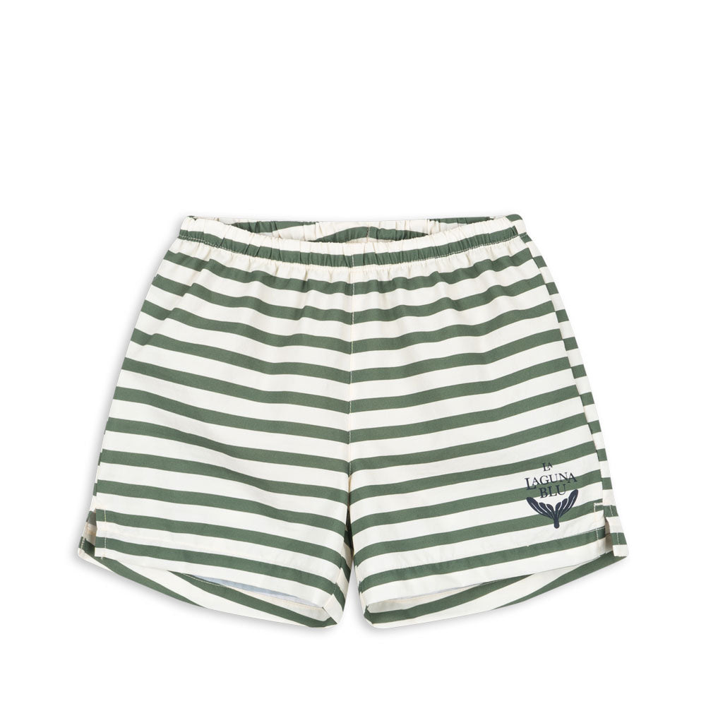 Asnou Swim Shorts (Stripe Verti)