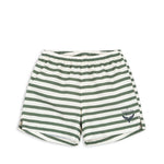 Asnou Swim Shorts (Stripe Verti)