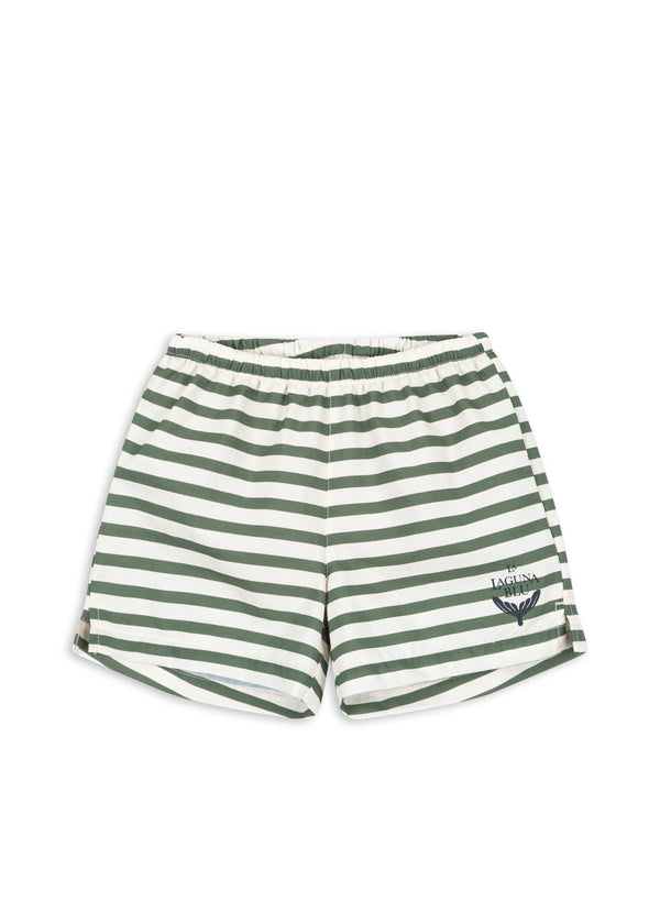 Asnou Swim Shorts (Stripe Verti)